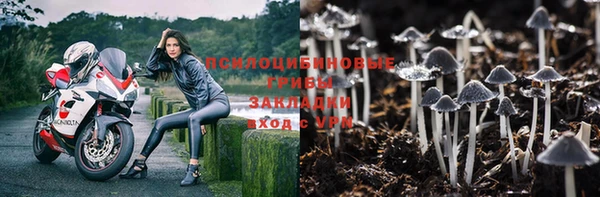 героин Лагань