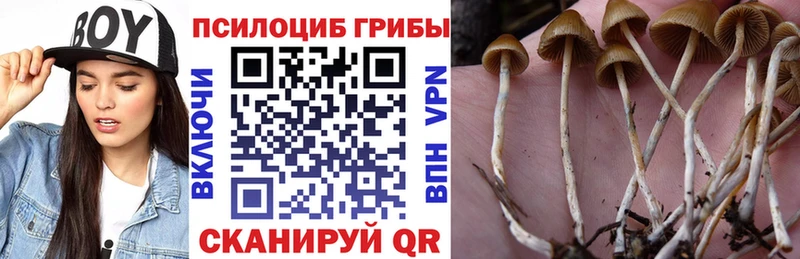 Галлюциногенные грибы MAGIC MUSHROOMS  Купить  Ессентуки 